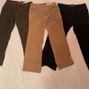 Unionbay Cropped Corduroy Pants (Capris)